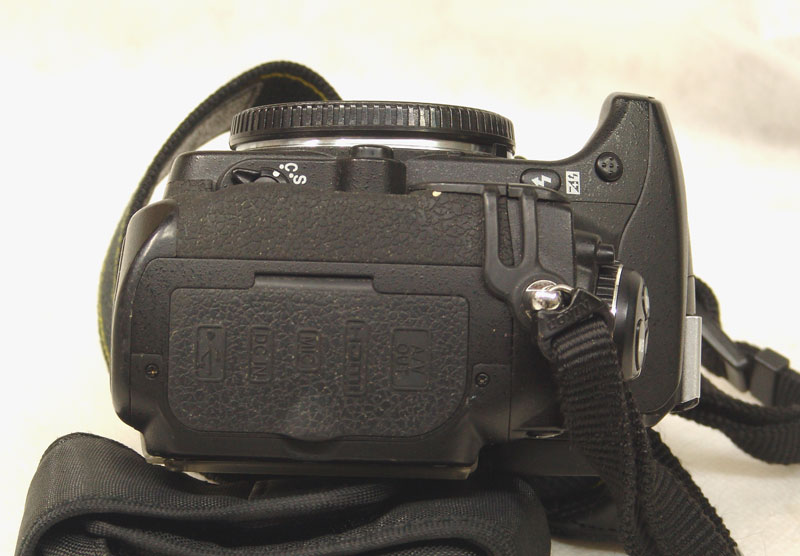 d300-s1.jpg