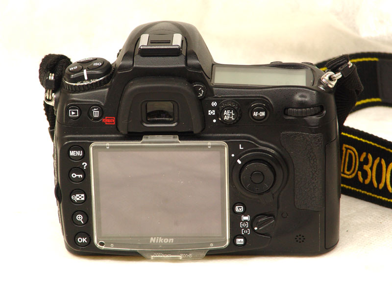 d300-b.jpg