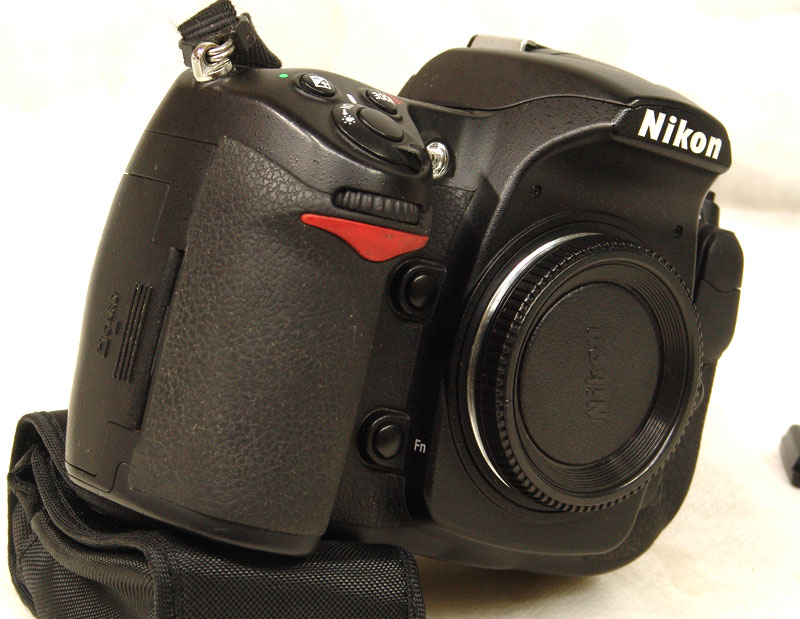 d300-s.jpg