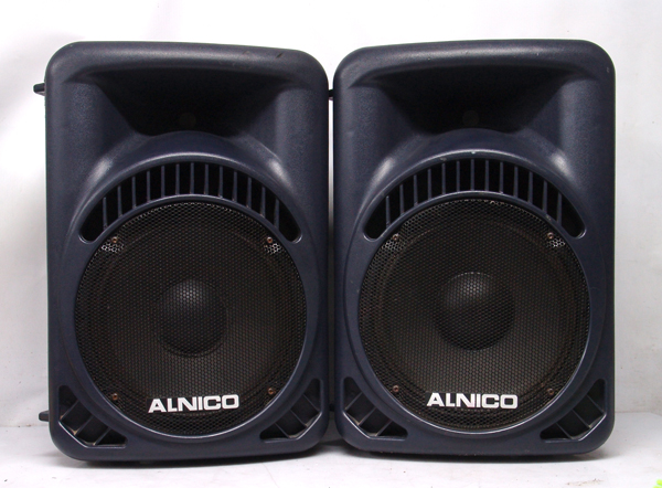 alnico-sw-12l.jpg